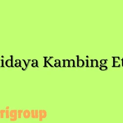 Budidaya Kambing Etawa